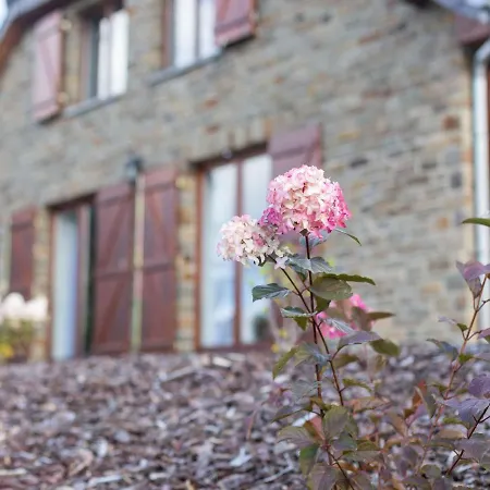 Spacious Holiday In With Private Terrace *